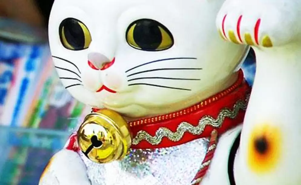 gato-de-la-fortuna