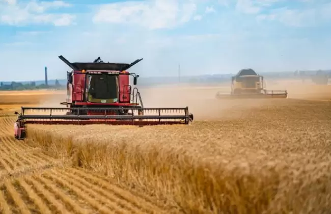 cosechadora-trabajando-campo-trigo-sector-agrario_116317-831