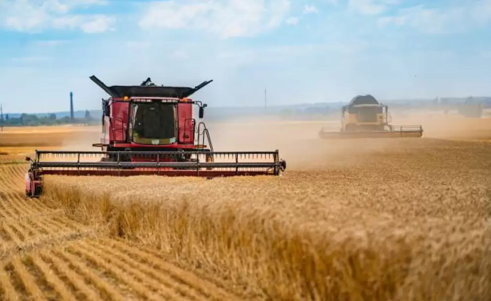 cosechadora-trabajando-campo-trigo-sector-agrario_116317-831