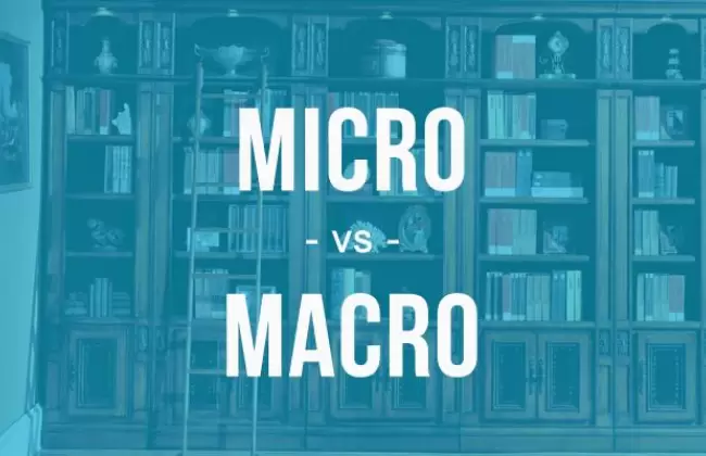 macro-versus-micro-1