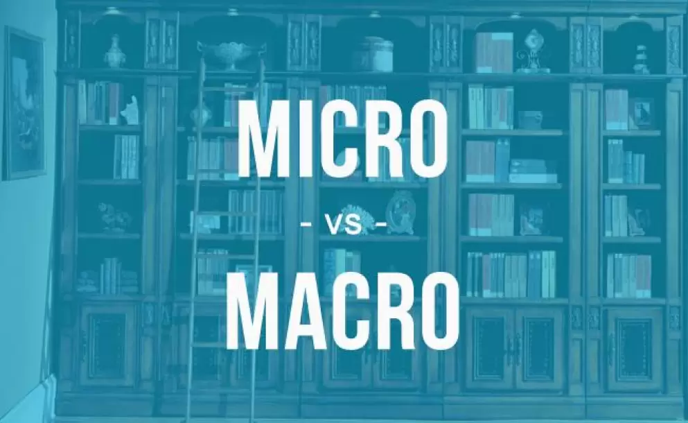 macro-versus-micro-1