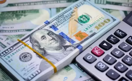 Extendieron el blanqueo de capitales