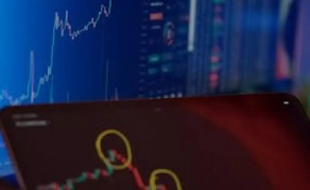 Los expertos dieron recomendaciones de acciones, bonos y anlisis de balances empresariales